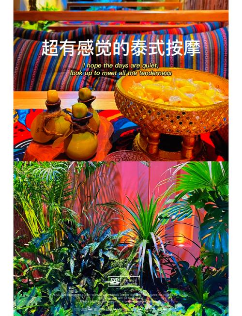 武漢保健活動(dòng)體驗(yàn)：精致環(huán)境與多樣化項(xiàng)目帶來(lái)的身心放松之旅